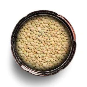 LENTILHA CANADENSE 100g 